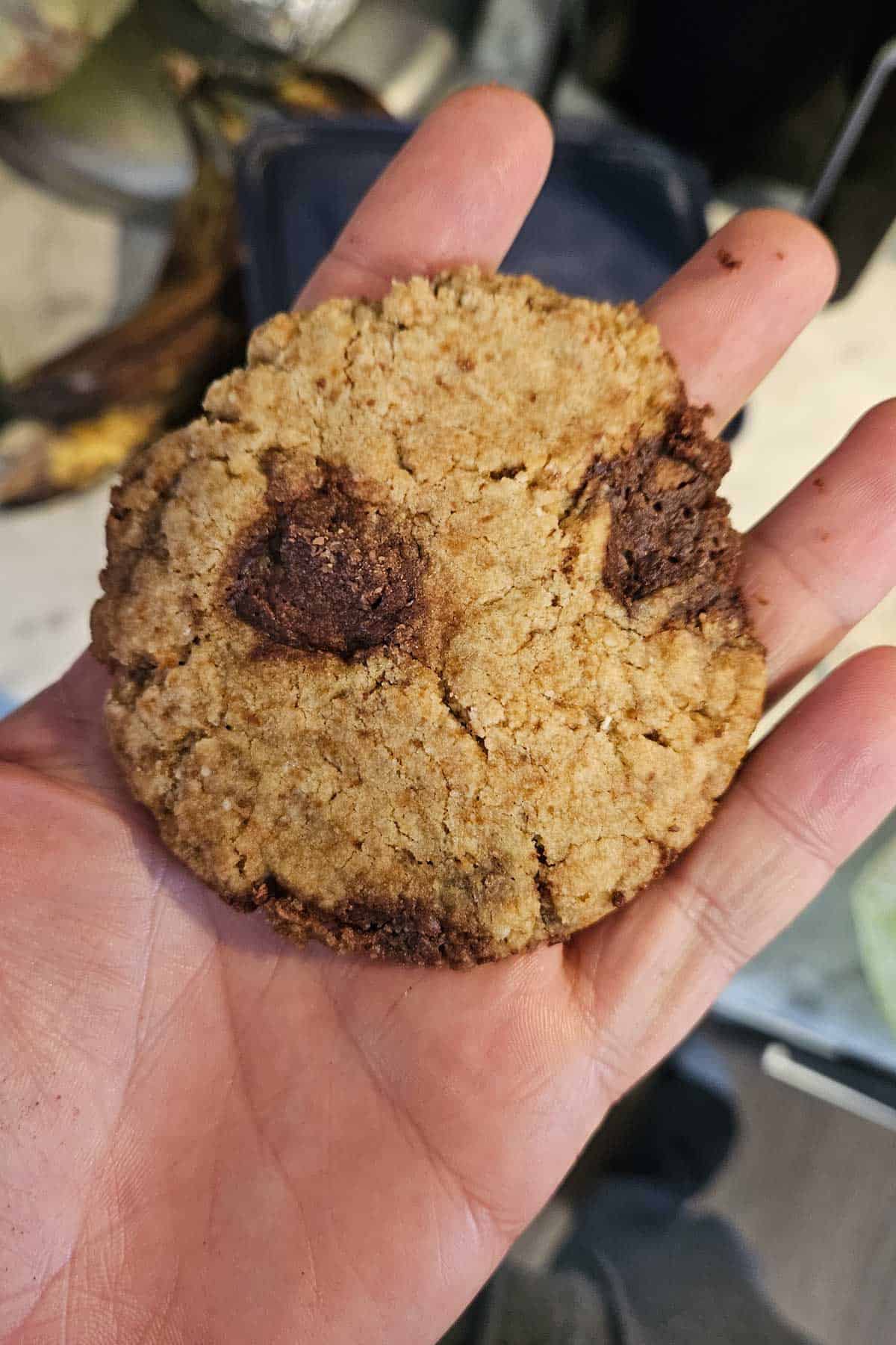 baked cookie with carob chunks baked into cookie until dry